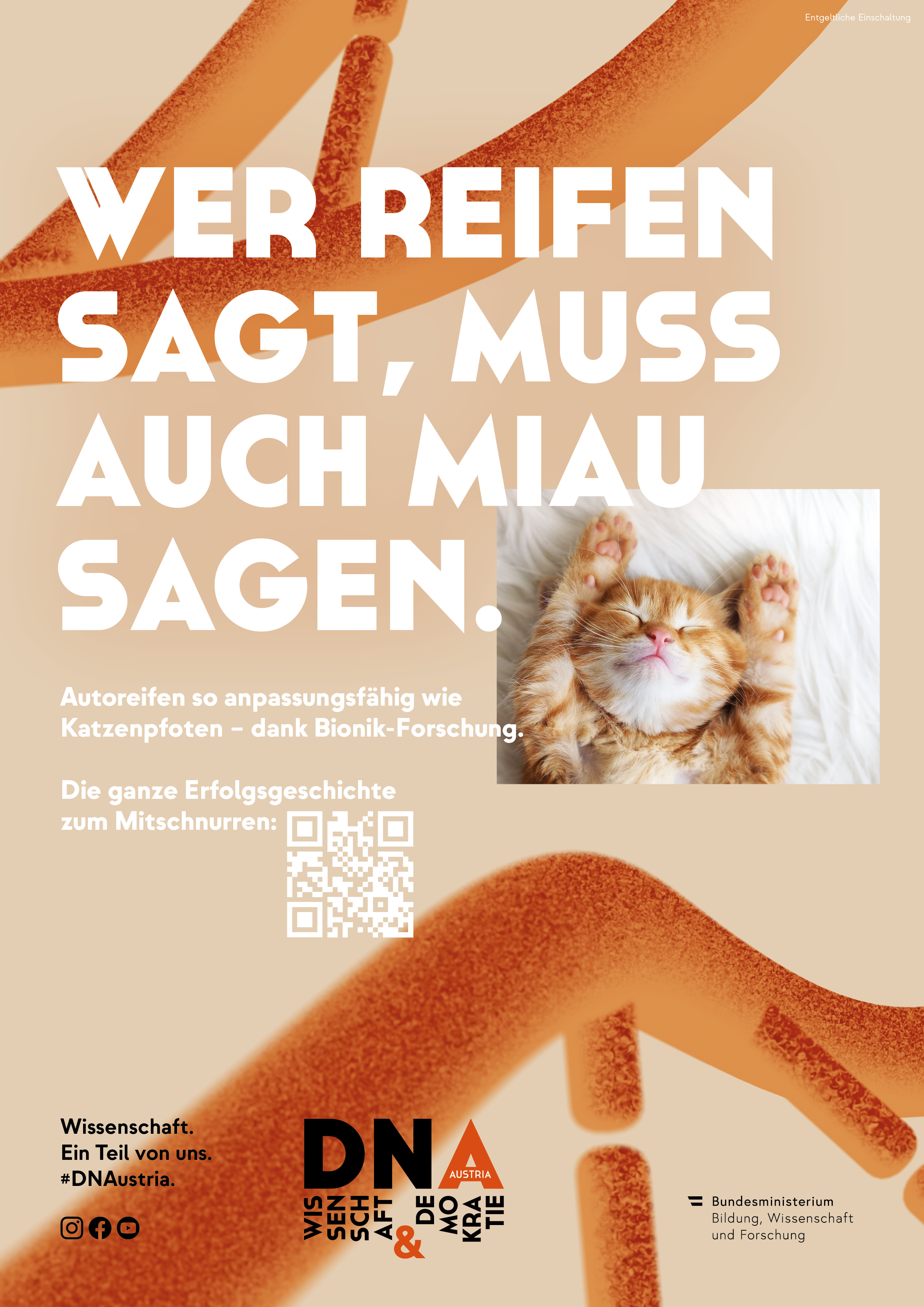 DNA Katze