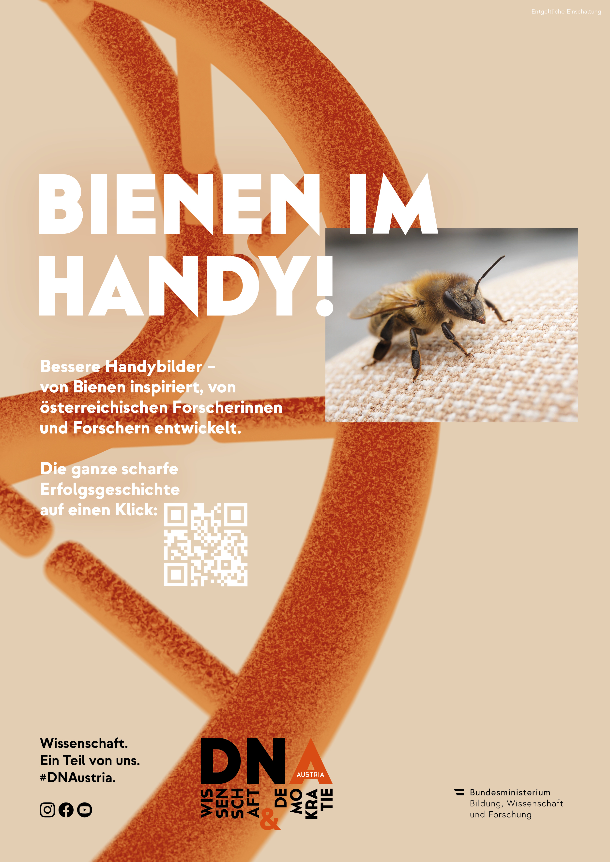 DNA Bienen